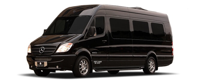 Chicago party bus Sprinter Limo